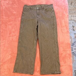 American Eagle Outfitters Women's Brown Stovepope Jeans